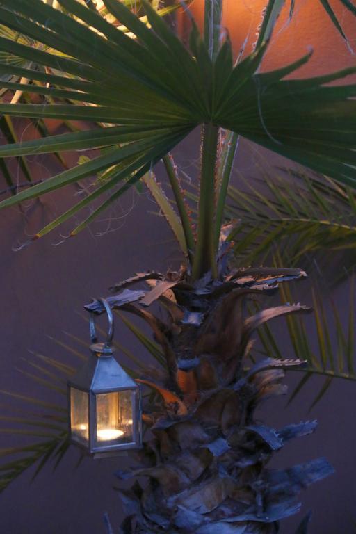 Riad Warda Marrakesh Bagian luar foto